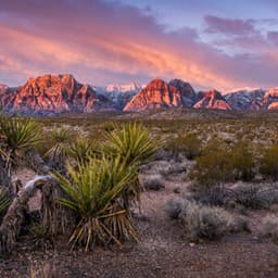 Nevada