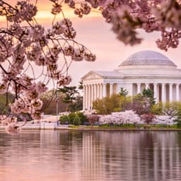 Washington D.C.