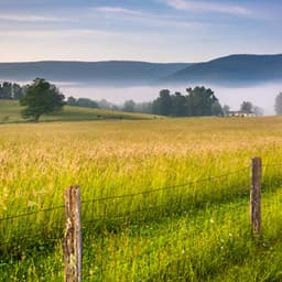 West Virginia